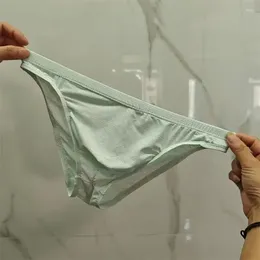 Biancheria Intima Bikini In Seta Di Ghiaccio Maschile Vedi - Foto 9