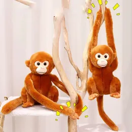 Manufacturer wholesale cartoon golden monkey plush toys, long arm monkey gorilla dolls, curtain buckles, children's soothing cloth dolls