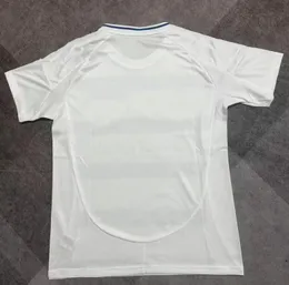 2025-2026 Cruzeiro Thai Quality Soccer Jersey GIOVANNI 10