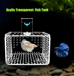 Guppy Breeding Box Diy Shrimp Breeding Container Floating Fish Breeder Box  - Plastic Aquarium Isolation Hatchery For Baby Fish & Shrimp Floating Fish  Tank Breeder Fish Egg Incubator