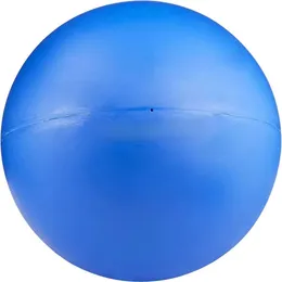 GoughNuts Interactive Talking Dog Ball Toy Pet Supplies From