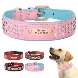 Premium Padded Leather Dog Collar Comfort Shop Now