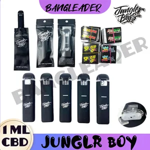 elfbar nachfüll pod läuft aus iEGrow 18650 charger battery e cigarette 26650 charger battery charger 3.7V  Li-lon with 18500 battery charger batteries 18350 17670 17500 16340 14500  10440 battery charger aa USB AAA : Amazon.nl: Electronics & Photo