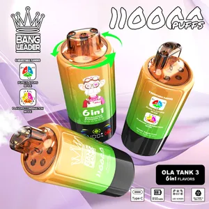 Disposable Electronic Cigarette E Cig & Electronic Disposable Cigarettes  Wholesale - Long Lasting