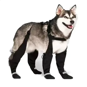 Wholesale Cheap Siberian Husky Dog Costumes Buy in Bulk on