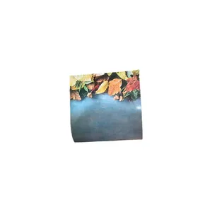 Carta Scrapbook Natale, 24 Fogli Carta Artigianale Scrapbooking 12X12