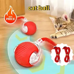 Grohandel Sex-spielzeug Fr Katzen zu gnstigen Preisen | DHgate  Deutschland