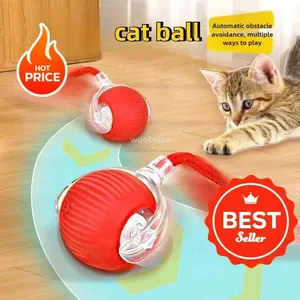 Grohandel Sex-spielzeug Fr Katzen zu gnstigen Preisen | DHgate  Deutschland