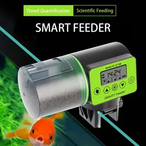 Feeding Ornamental Fish With Automated Tools: Ultimate Guide