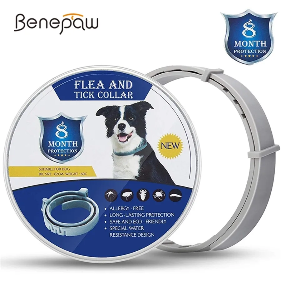 Curated visual reference: Effective Strategies To Keep Fleas Away And Protect Your Home Photo Inspiration