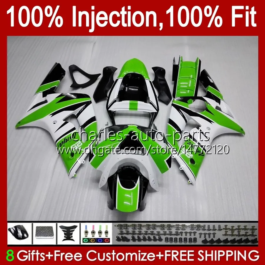 Ninja 250cc vs 600cc: Is the bigger engine REALLY worth it for ...