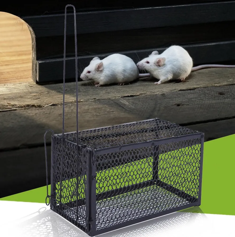 Effective Strategies for Baiting Your Victor Electronic Rat Trap to ...