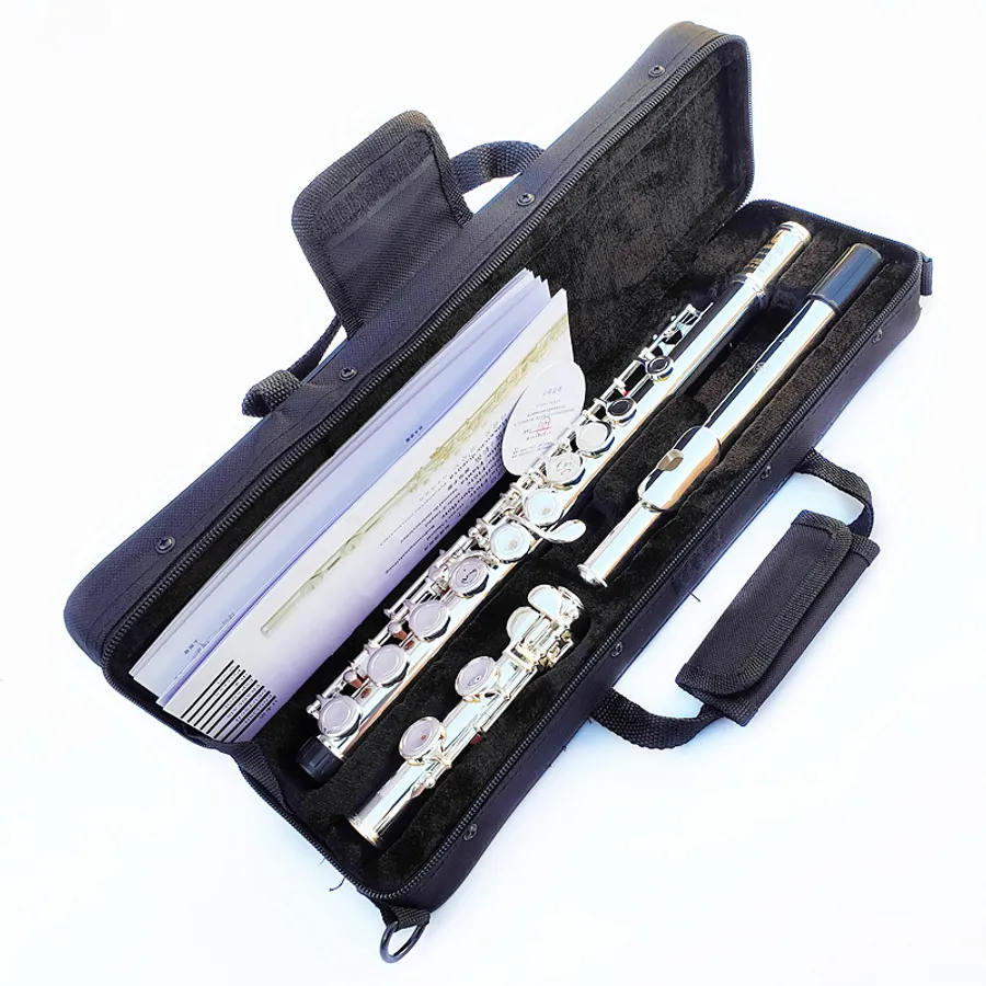 Musical Instrument In Flight Expert Tips for Safely Carrying Musical Instruments on Flights: A ...