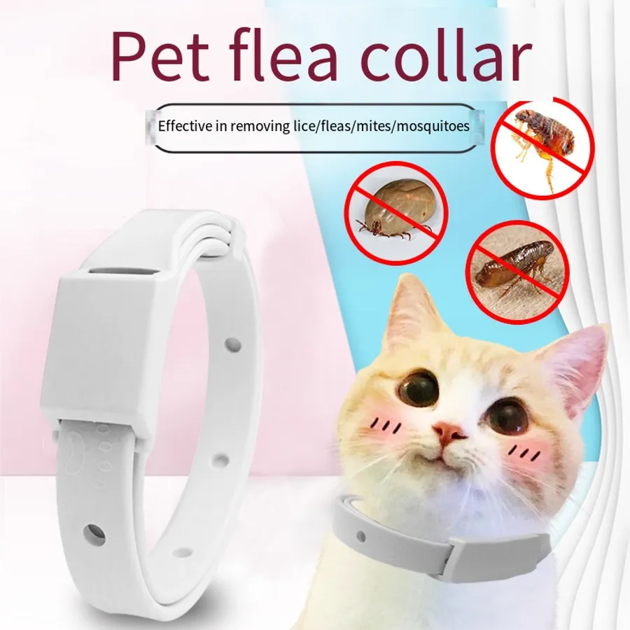 Top 10 Best Flea Collars for Cats That Keep Pests Away Effectively