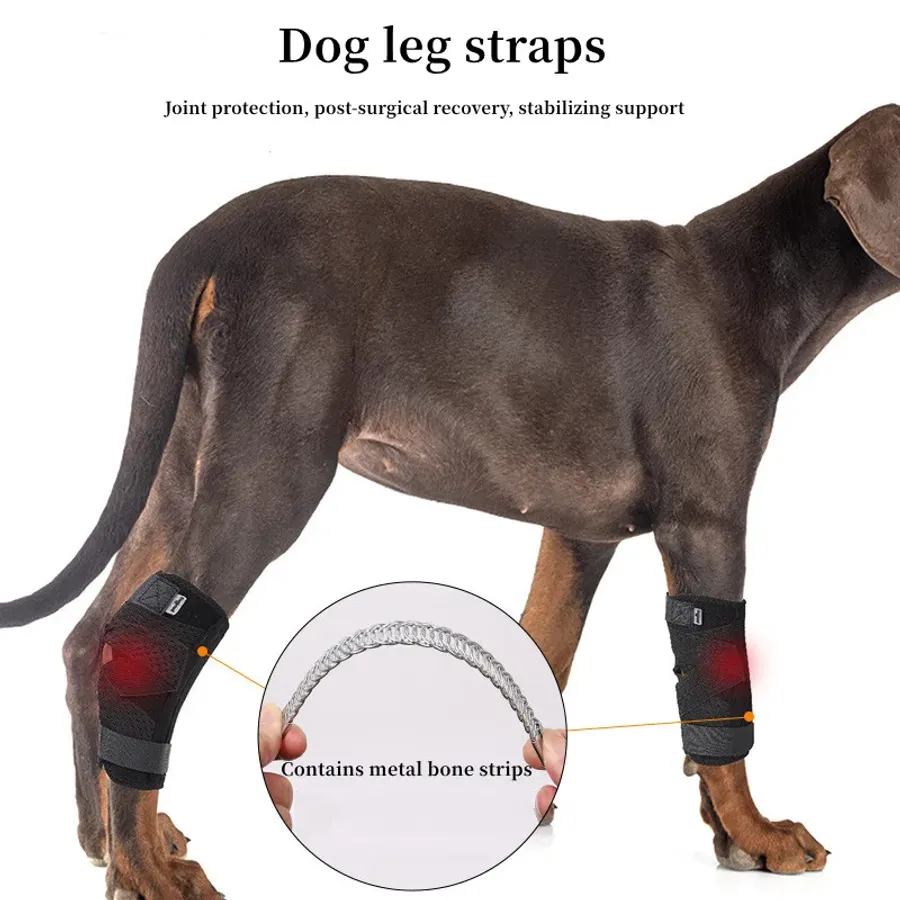 Dog shoes bandages: when should you use each one? Smart