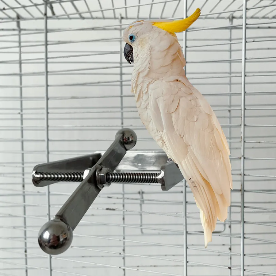 Best Bird Watching Gear for Every Enthusiast