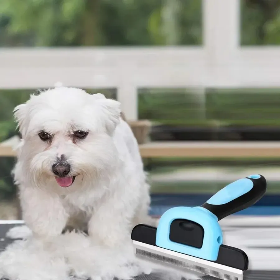 What Are the Best Dog Grooming Supplies for Every Pet Owner