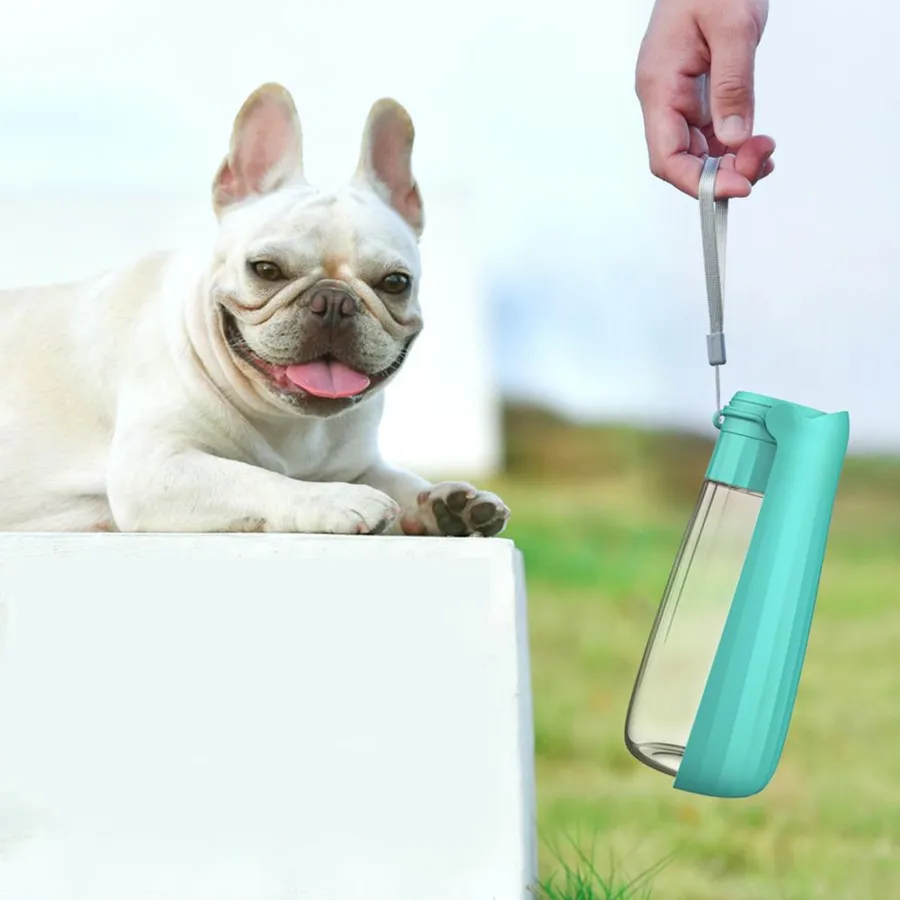 Discover the best water for dogs to drink with portable hydration