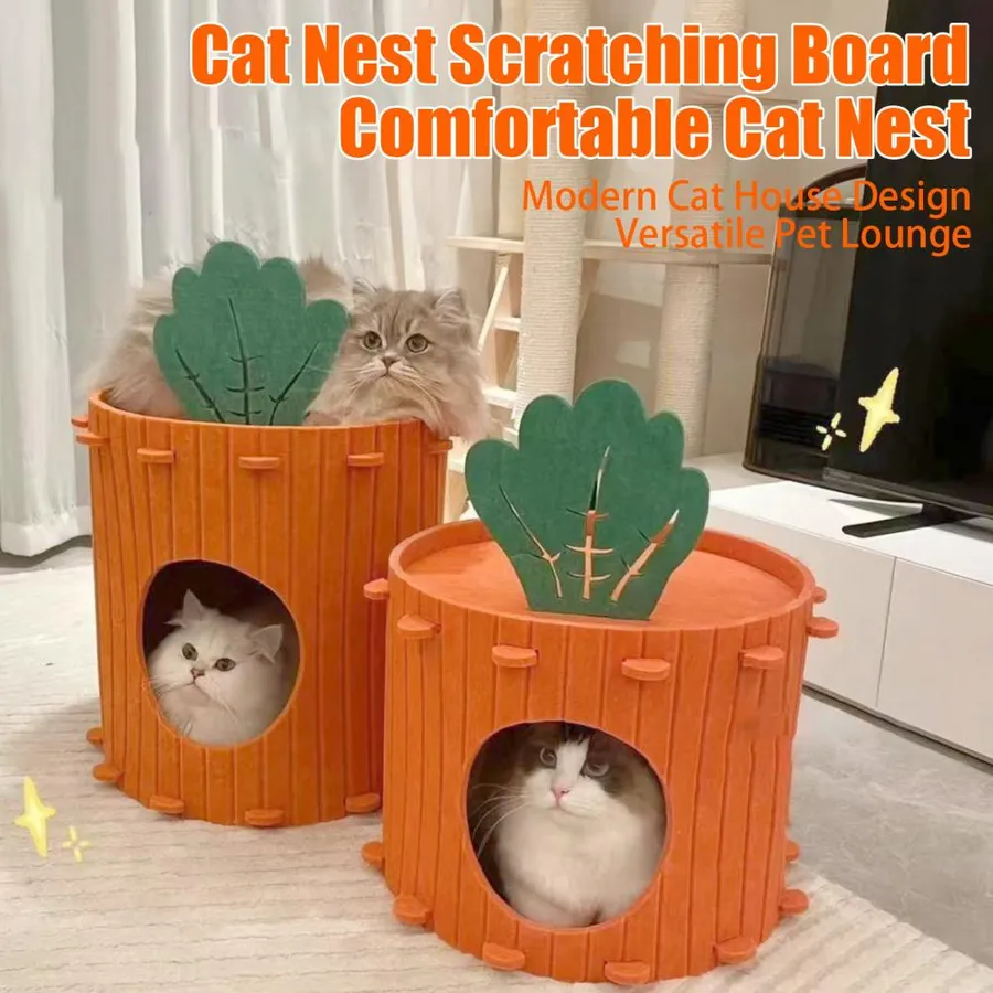 Choosing the Best House Cats for Your Indoor Home Companions