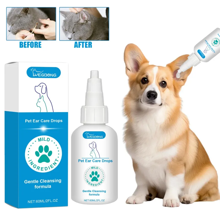 Effective Solutions for the Best Ear Treatment for Dogs at Home