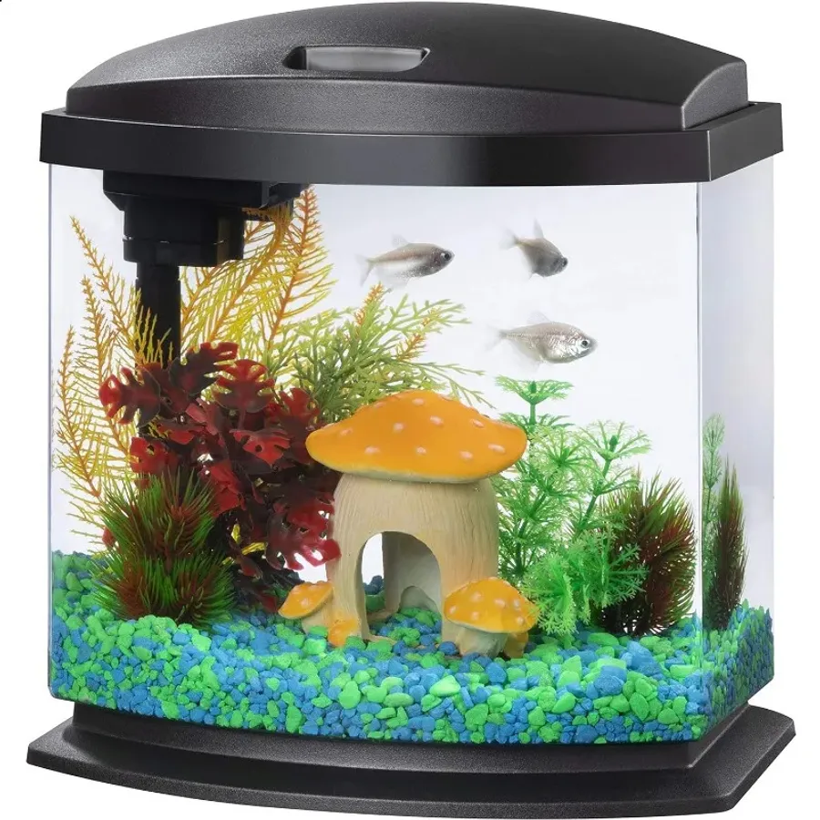 Reliable Choices for the Best Tropical Fish for a Community Tank