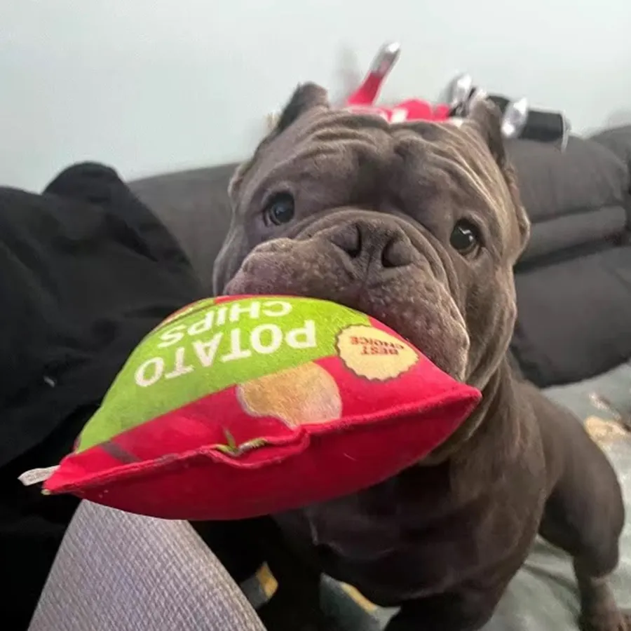 Top 10 Best German Snacks That Are Crowd-Pleasers and Wallet-Wise