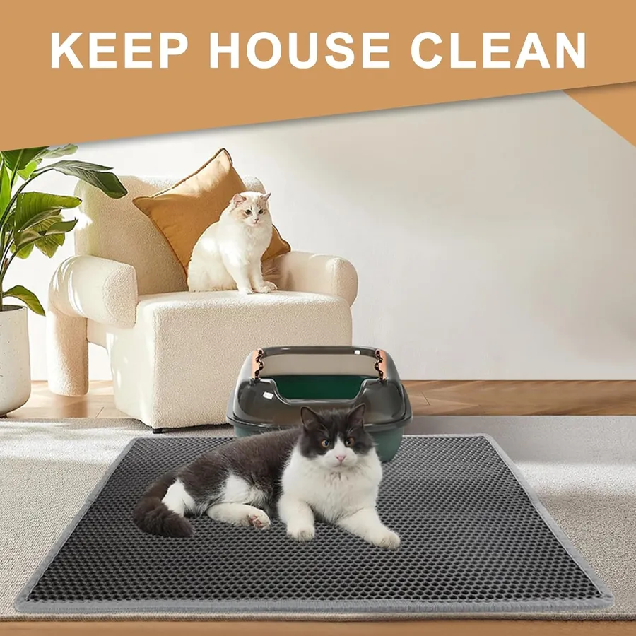 Effective Solutions for the Best Way to Clean Cat Pee on Carpet - Main Image