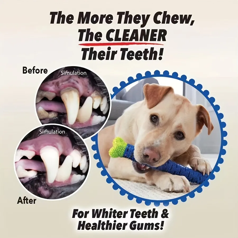 Affordable and Effective Canine Dental Products for Healthy Teeth