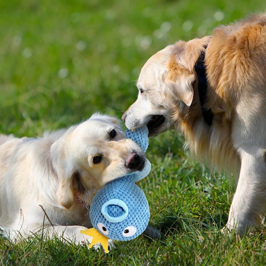 Effective and Safe Methods for the Best Way to Wash Dog Toys