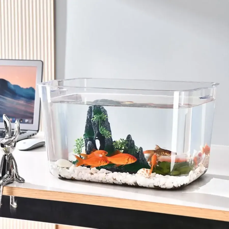 Where to Find the Best Place to Buy Aquarium for Every Setup