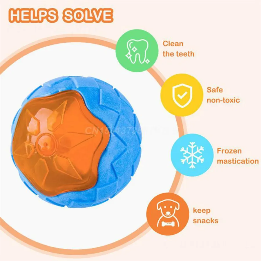 Effective and Safe Methods for the Best Way to Wash Dog Toys