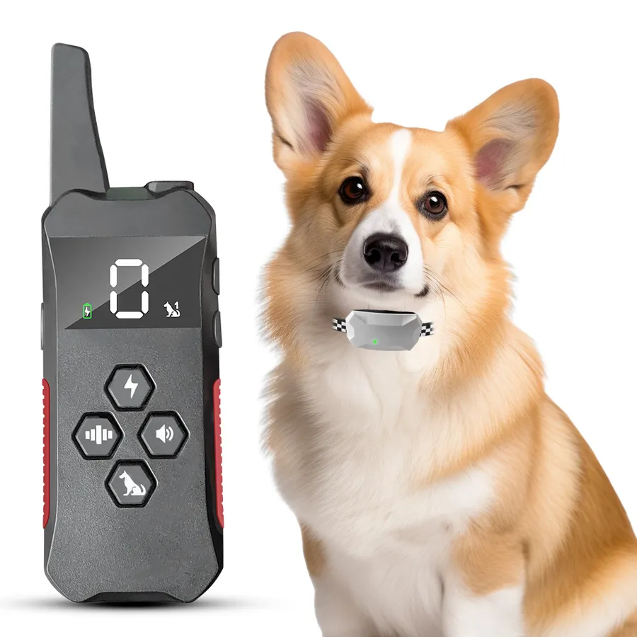 Reliable Dog GPS Tracker Chip Implant Alternatives for Pet Safety