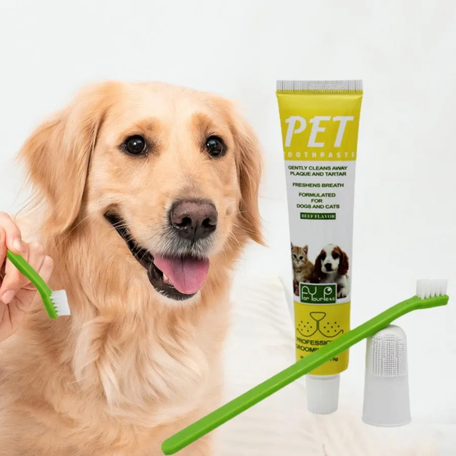 Canine Can U Brush Dogs Teeth With Human Toothpaste Effective And