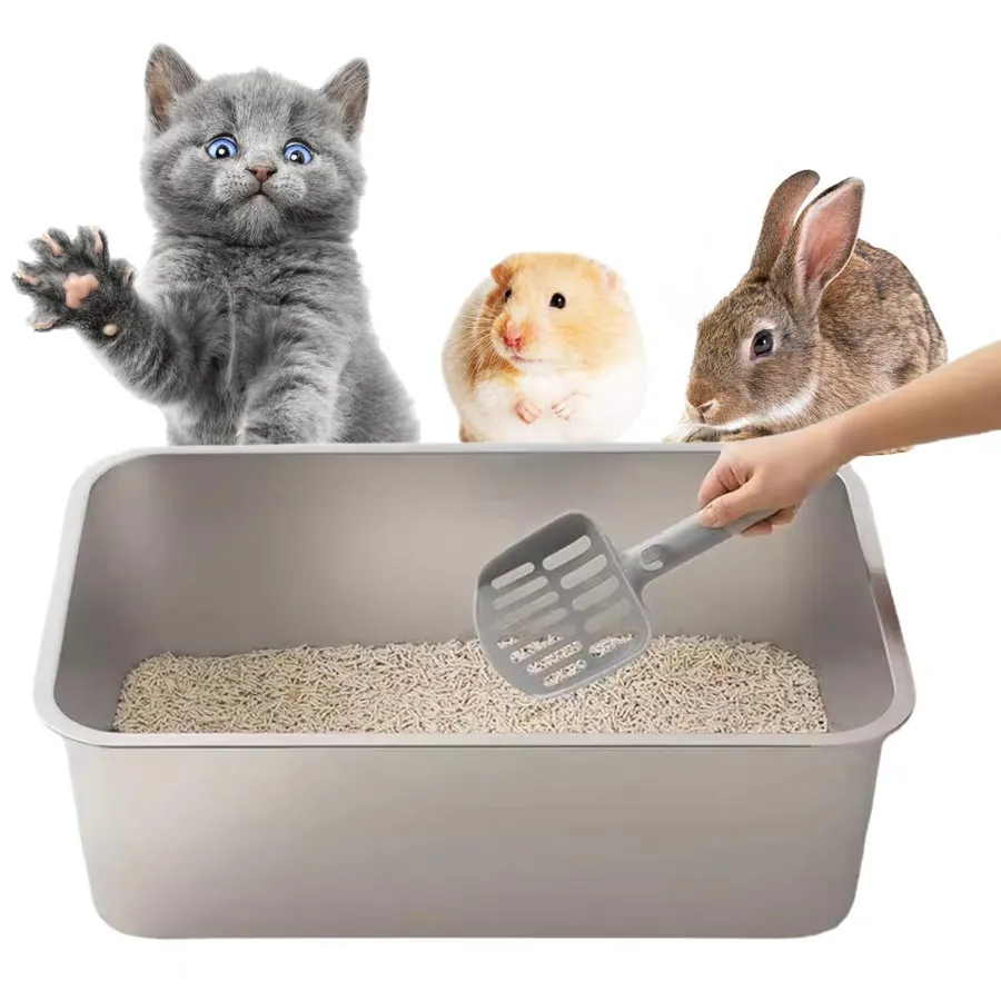 Affordable Automatic Litter Box Options for Hassle-Free Cat Care