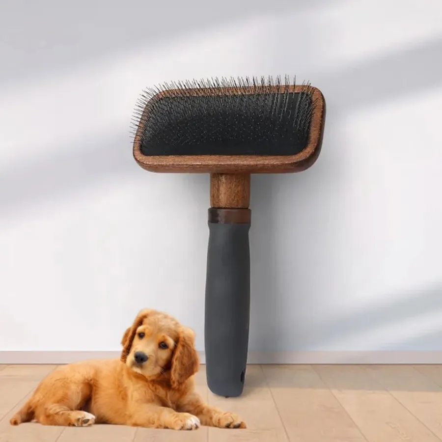 Affordable and Effective Dog Brushes Perfect for Corgi Grooming