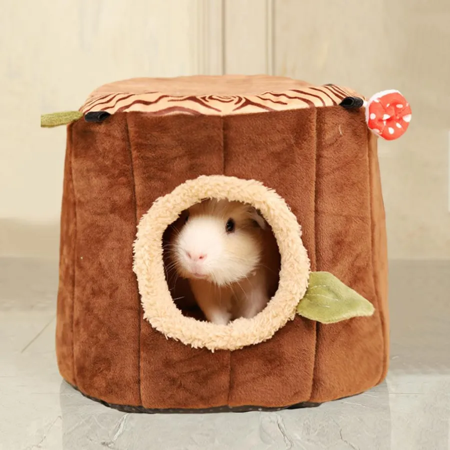 Guinea Pigs Cedar Bedding For Rats What Bedding Is Best For Rats