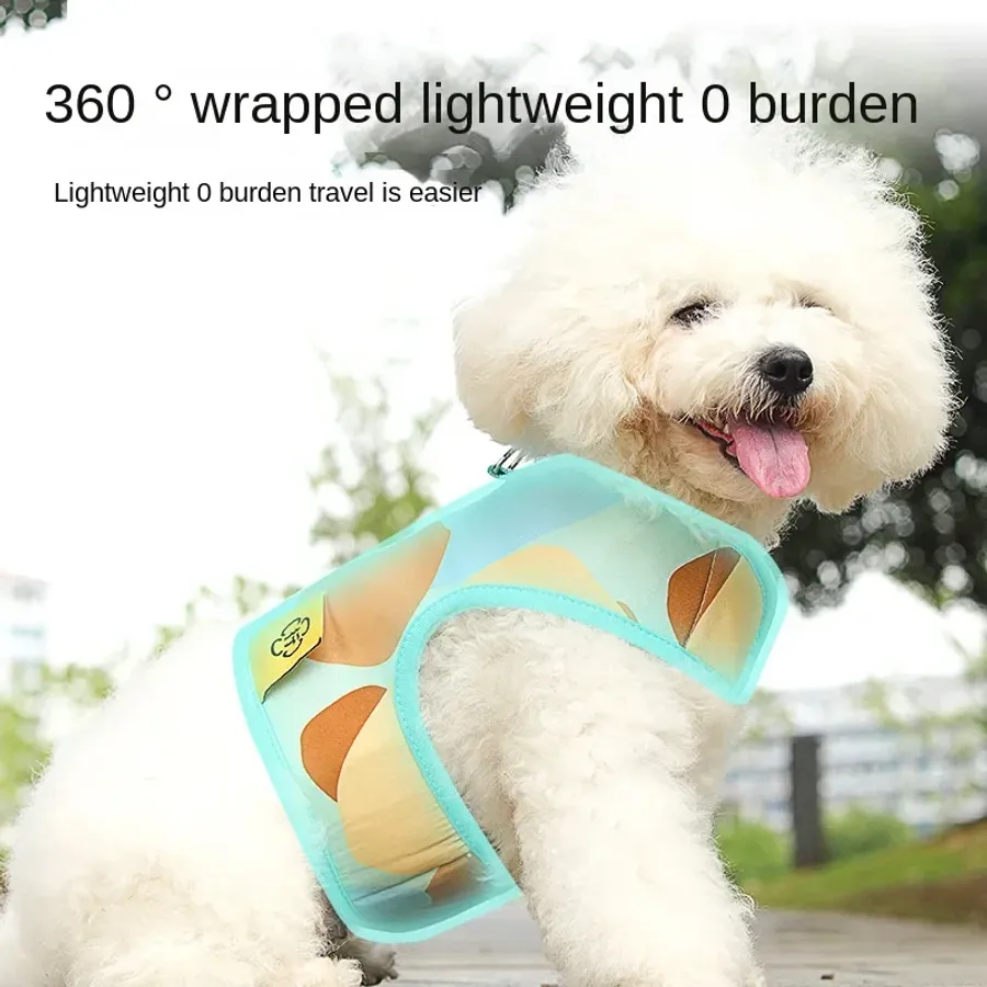 Discover the Best Puppies for Small Apartments with Comfort and