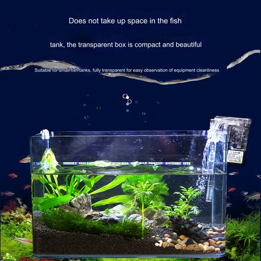 Efficient and Compact Solutions for the Best Freshwater Aquarium