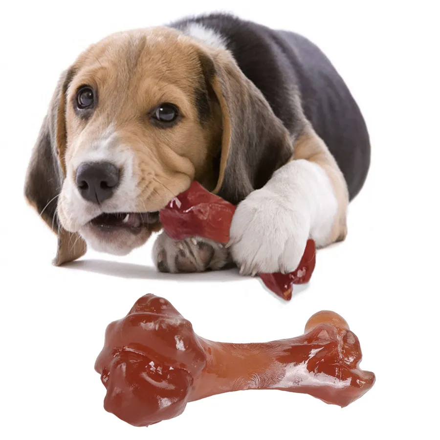 Top 10 Best Dog Bones for Chewing, Teeth Cleaning Playtime Fun