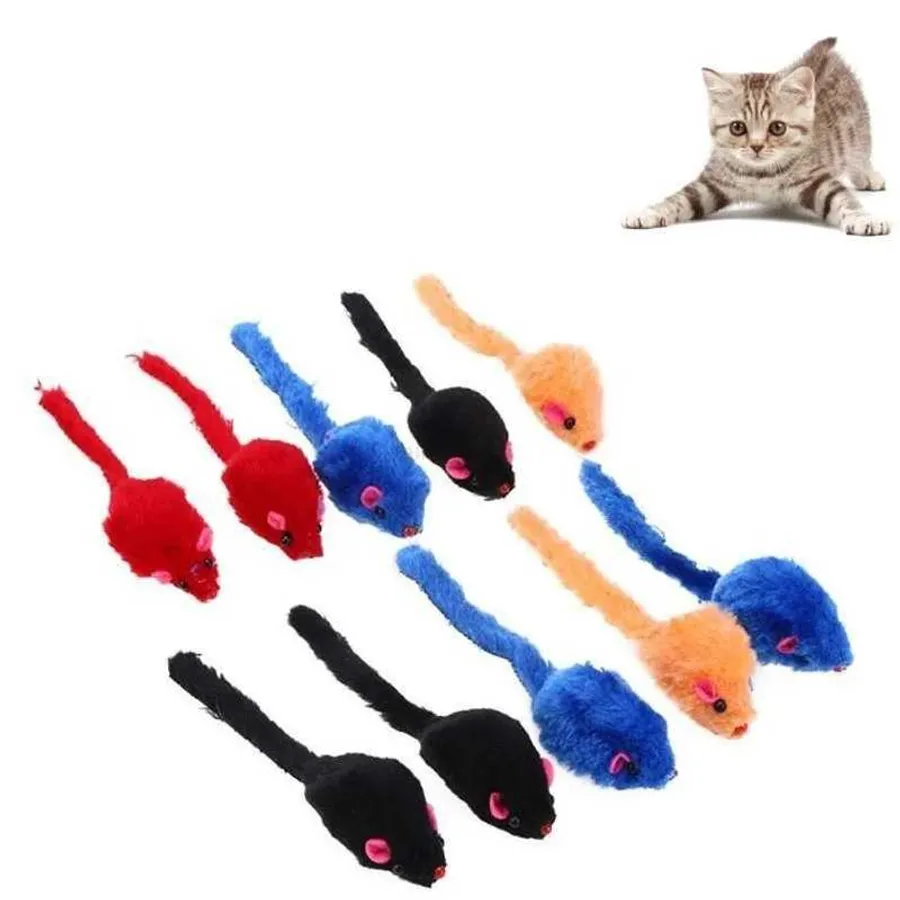 Top 10 Best Cat Toys for Mental Stimulation That Keep Your Kitty