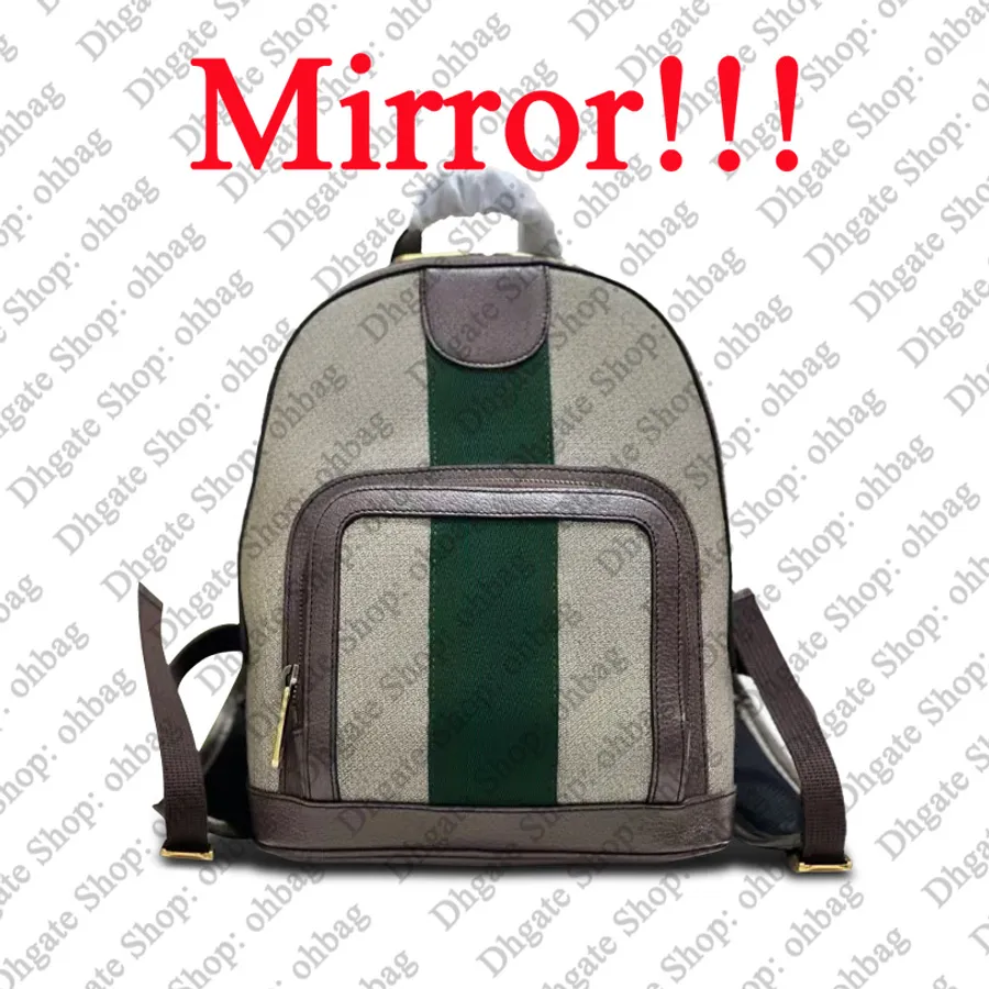 Single strap vs double strap bags: Does carrying two straps