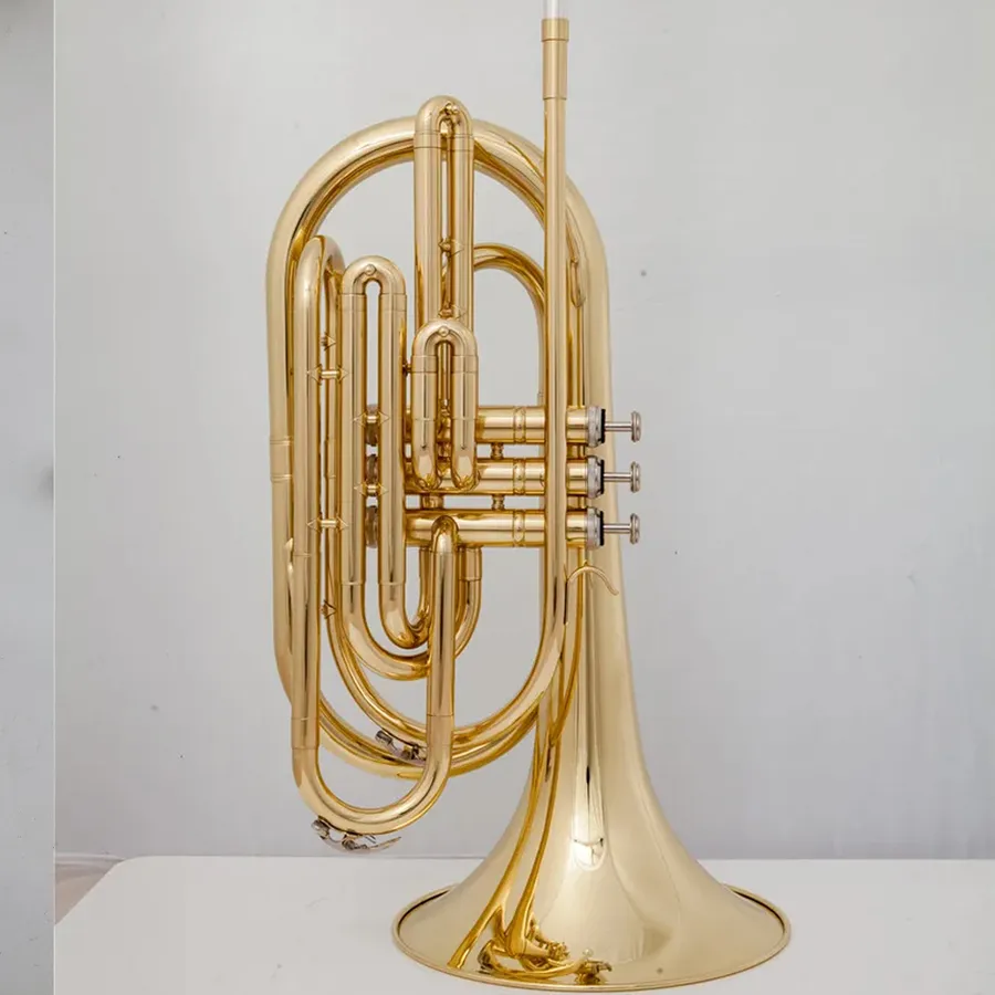 Musical Instrument In Flight Essential Tips for Safely Carrying Musical Instruments on Flights in ...