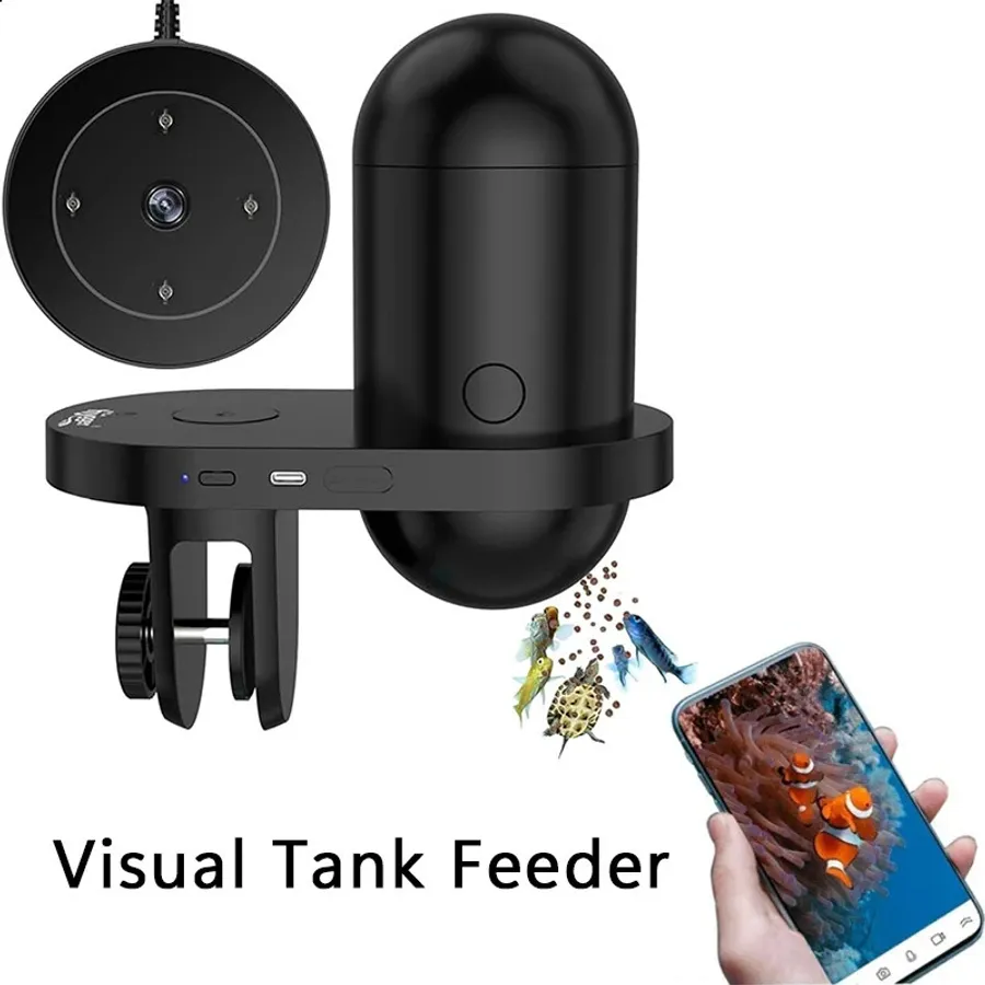 A Beginner’s Guide to Safely Feeding Live Worms to Your Aquarium Fish ...