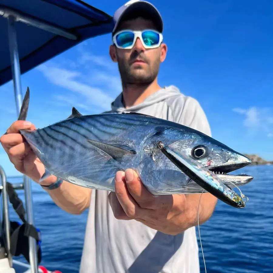 Durable and Responsive Options for the Best Jerkbait Rod Choices