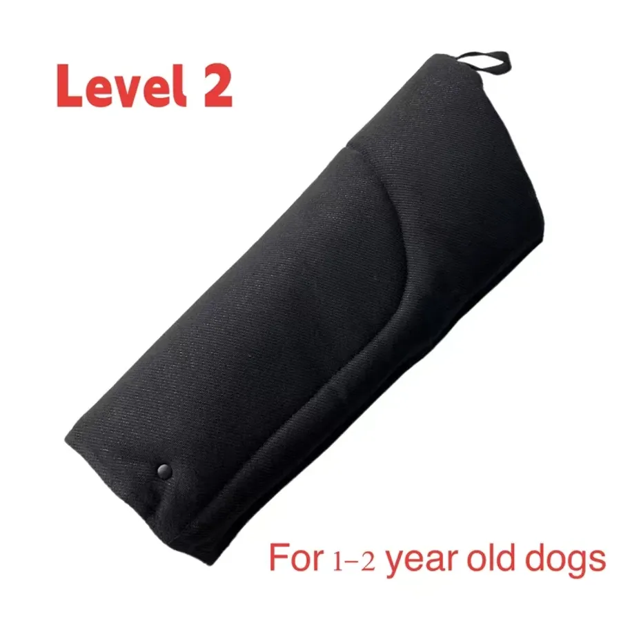 Socket Guards Dogs Essential Steps and Skills to Successfully Become a K9 Police Officer ...