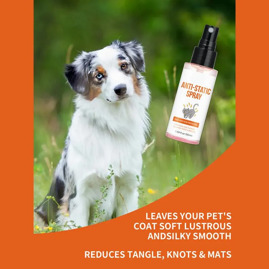 Vet's Best Allergy Itch Relief Spray for Dogs: Top Soothing Picks