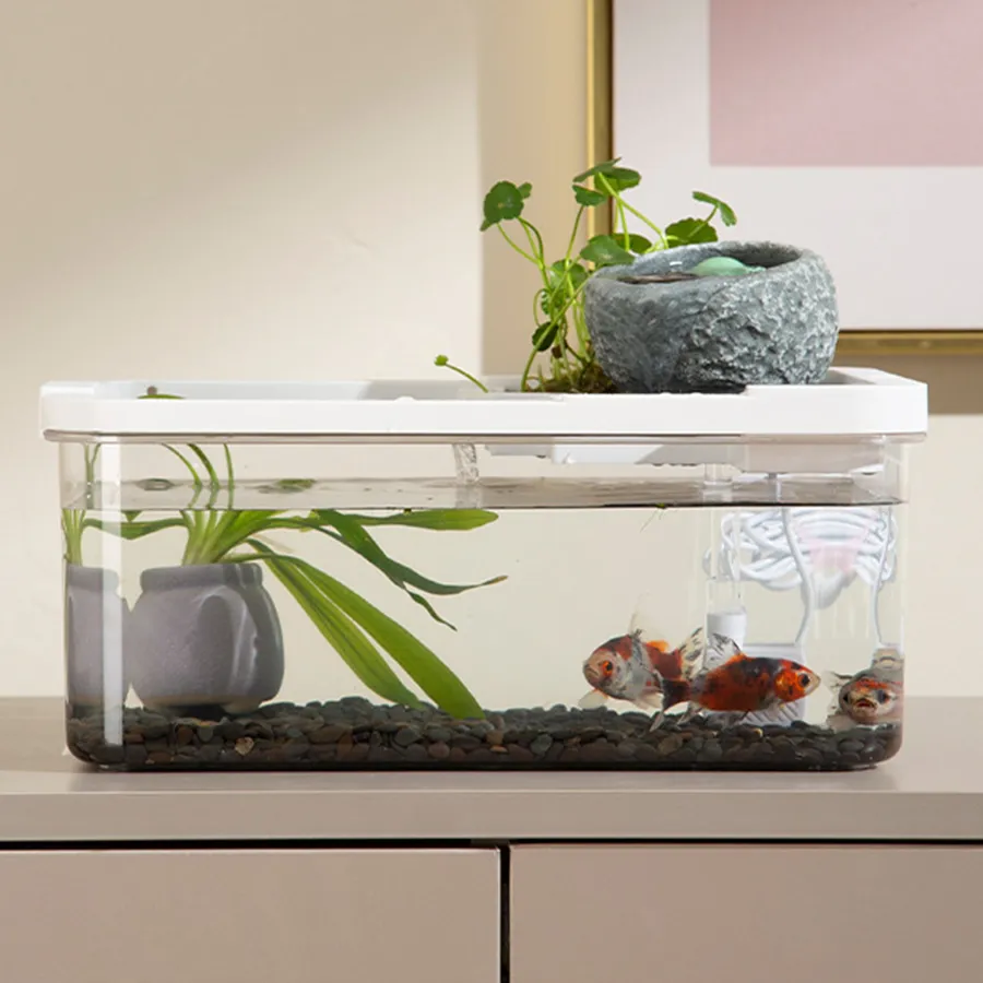Affordable Fish Tanks and Starter Kits for the Best Pet Fish for