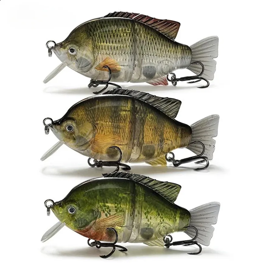 Best Bait for Snook: Top Picks to Boost Your Catch Rate Smart