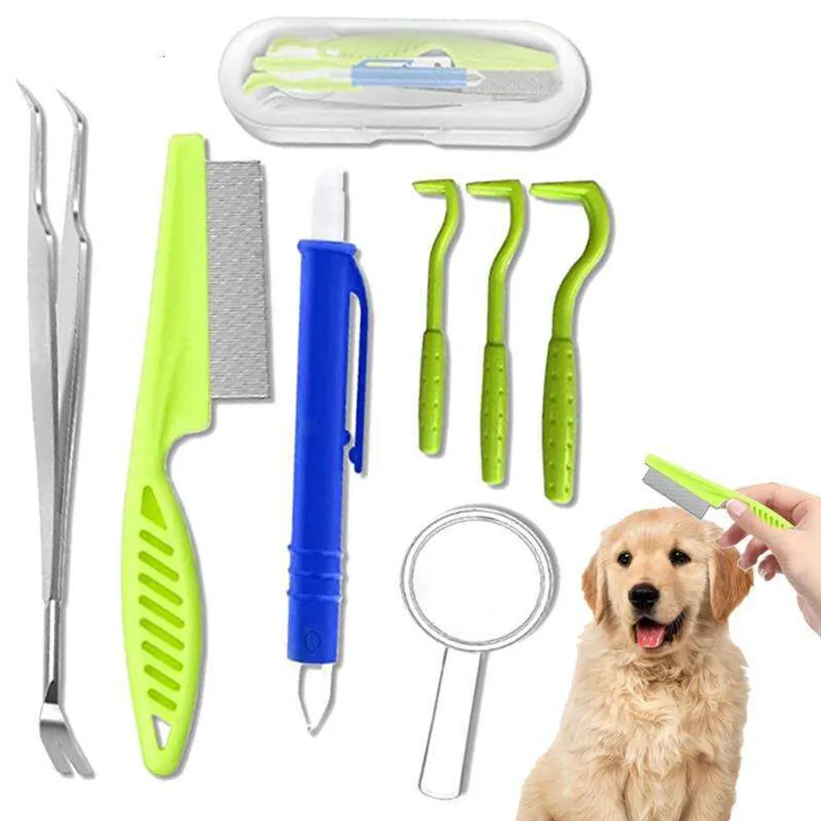 Effective Solutions Best for Dog Ear Infection Care and Hygiene