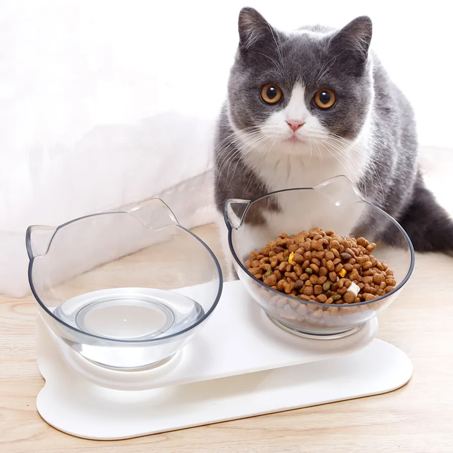 Quality Choices for the Best Cat Feeding Bowls That Suit Every Cat